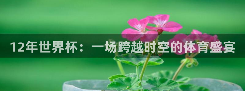 世界杯赛程表：12年世界杯：一场跨越时空的体育盛宴