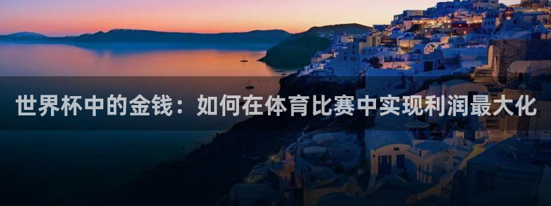 世界杯决赛直播：世界杯中的金钱：如何在体育比赛中实现利润最大化
