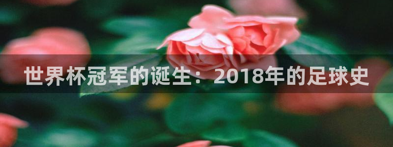 世界杯48支球队赛制：世界杯冠军的诞生：2018年的足球史