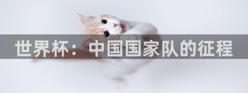 2026世界杯官网：世界杯：中国国家队的征程