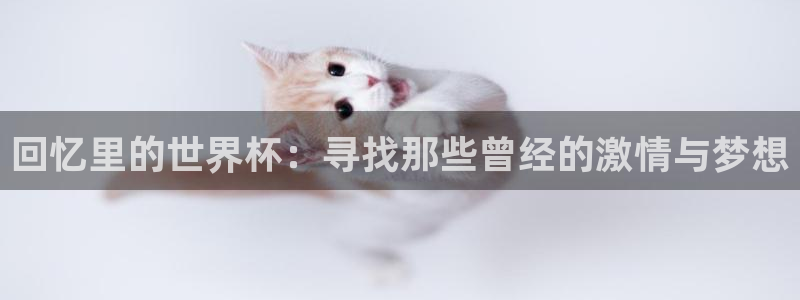 世界杯葡萄牙赛程：回忆里的世界杯：寻找那些曾经的激情与梦想