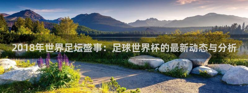 世界杯欧洲区预选赛：2018年世界足坛盛事：足球世界杯的最新动态与分析