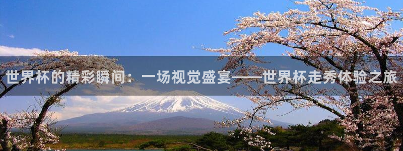 法国杯2026赛程表：世界杯的精彩瞬间：一场视觉盛宴——世界杯走秀体验之旅