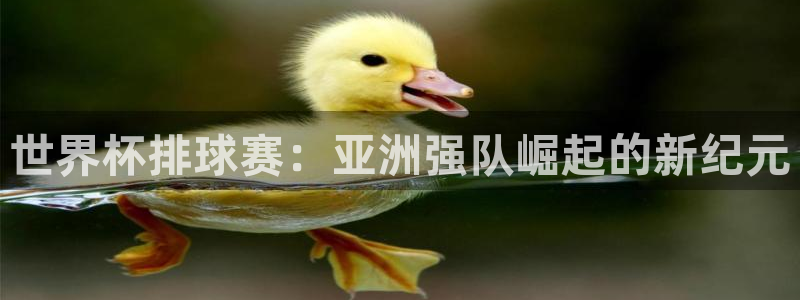 世界杯足球赛2026：世界杯排球赛：亚洲强队崛起的新纪元