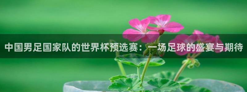 2026年世界杯对阵图：中国男足国家队的世界杯预选赛：一场足球的盛宴与期待