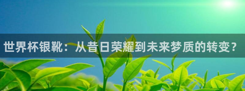 世界杯足球：世界杯银靴：从昔日荣耀到未来梦质的转变？