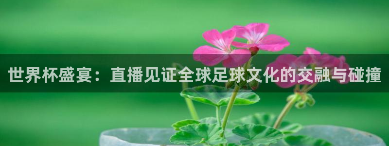 2026世界杯赛程表完整版：世界杯盛宴：直播见证全球足球文化的交融与碰撞