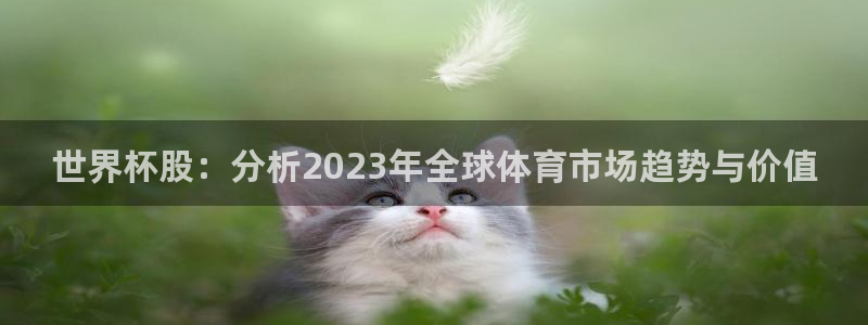 2026年世界杯时间表：世界杯股：分析2023年全球体育市场趋势与价值