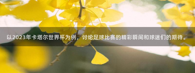 世界杯亚洲区预选赛赛程表：以2023年卡塔尔世界杯为例，讨论足球比赛的精彩瞬间和球迷们的期待。