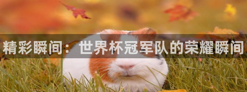 2026世亚预赛赛程表：精彩瞬间：世界杯冠军队的荣耀瞬间