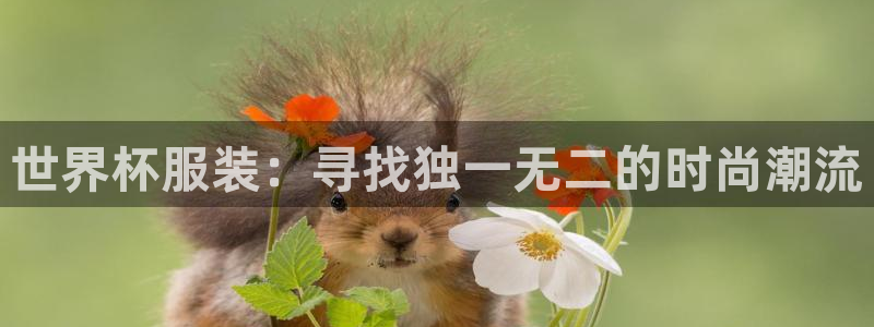英足总杯直播：世界杯服装：寻找独一无二的时尚潮流