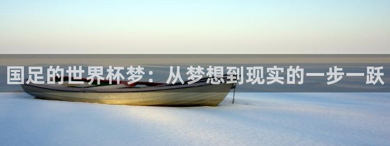 2026 世界杯：国足的世界杯梦：从梦想到现实的一步一跃