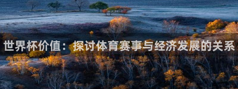 26世界杯：世界杯价值：探讨体育赛事与经济发展的关系